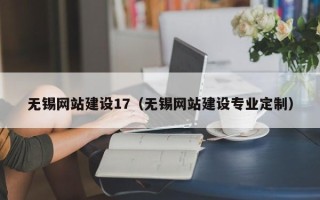 新余无锡网站建设17（无锡网站建设专业定制）