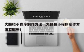 新余大颗粒小程序制作方法（大颗粒小程序制作方法有哪些）