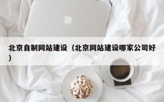 新余北京自制网站建设（北京网站建设哪家公司好）